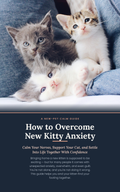 How to Overcome New Kitty Anxiety